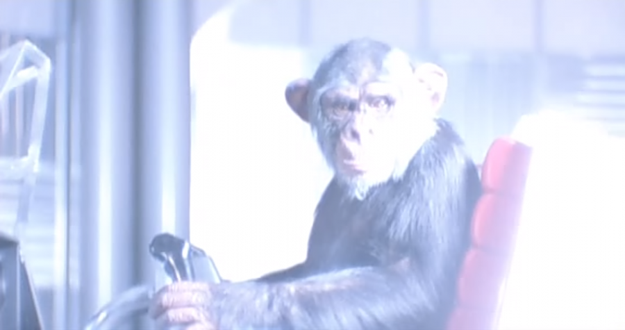 Inspired by real-life military experiments on animals, Project X (1987) portrays a fictional effort to save chimpanzees exposed to lethal radiation in simulations of nuclear warfare (© 1987 20th Century Fox, <a href="https://animalpeopleforum.org/beyondhuman/copyright-and-fair-use/">fair use</a>)