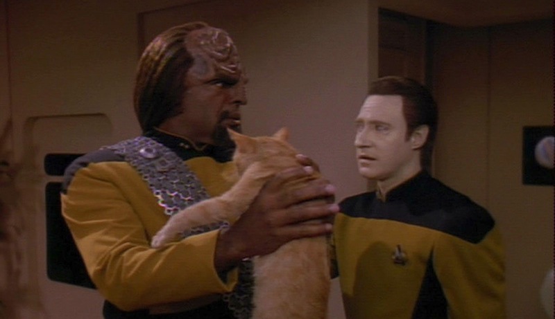 "O Spot, the complex levels of behavior you display / Connote a fairly well-developed cognitive array. / And though you are not sentient, Spot, and do not comprehend / I nonetheless consider you a true and valued friend." (Data's poem to his cat Spot, Star Trek: The Next Generation episode 6.5 "Schisms" - image © Paramount Pictures / CBS Studios, <a href="https://animalpeopleforum.org/beyondhuman/copyright-and-fair-use/">fair use</a>)