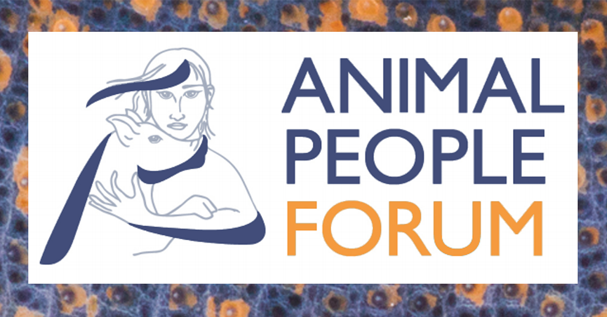 AP Forum Logo
