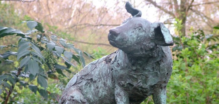 The Brown Dog memorial, sculpted by artist Nicola Hicks. The current statue replaces an older one, erected near University College in London in 1906, in memory of a dog that had been vivisected without anesthesia by multiple professors over a two month period. The original statue was removed by police following riots between medical students and anti-vivisection activists. (Photo credit: Tagishsimon, used under CC BY-SA 2.0 / cropped from original)