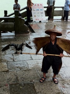 Fisherman and captive cormorant in Guilin, China. Today, cormorant fishing serves mostly as a tourist attraction rather than a direct source of food (Photo credit: Wolf Clifton - Animal People, Inc.)