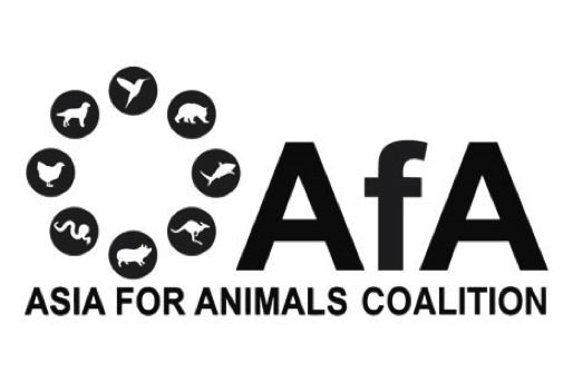 AfA Coalition logo