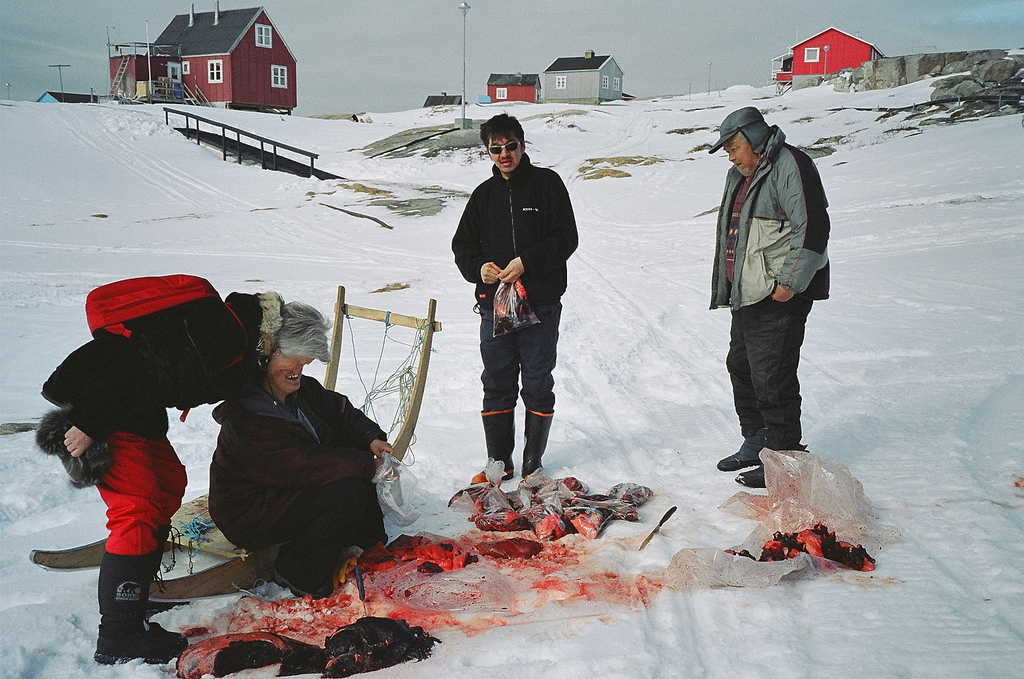 Inuit butchering a seal (photo credit: DorkyMum, used under CC BY-NC-ND 2.0)