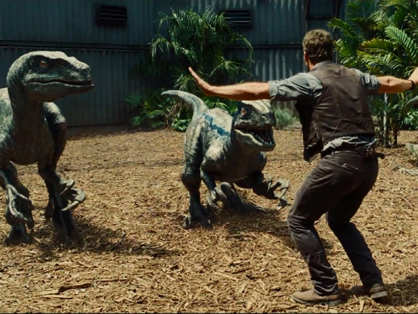 In Jurassic World, raptors can bond with humans if treated with respect (© Universal Pictures 2015, fair use)