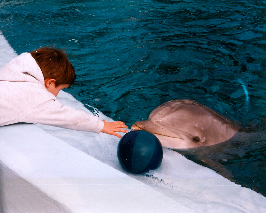 The author as a child, playing with a captive dolphin in an aquarium (photo credit Kim Bartlett - Animal People, Inc.)