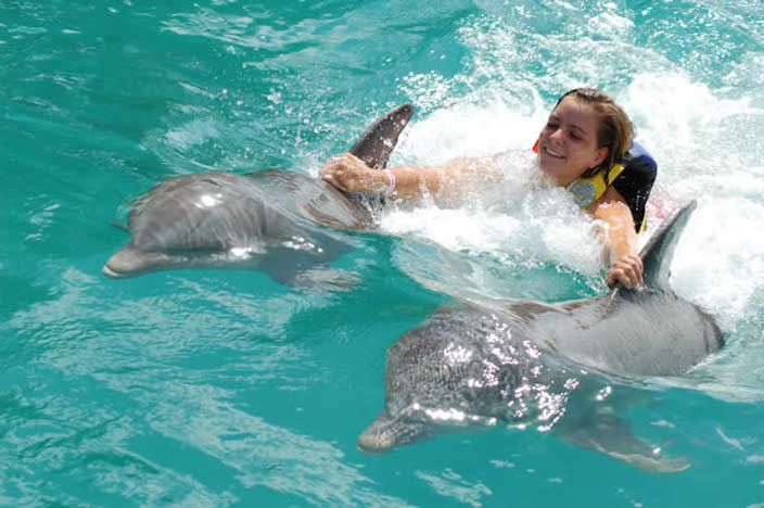 Tourist swimming with captive dolphins at Dolphin Discovery Tortola in the neighboring British Virgin Islands (photo credit: Dtraveller Cancun, CC BY-NC-ND 2.0)