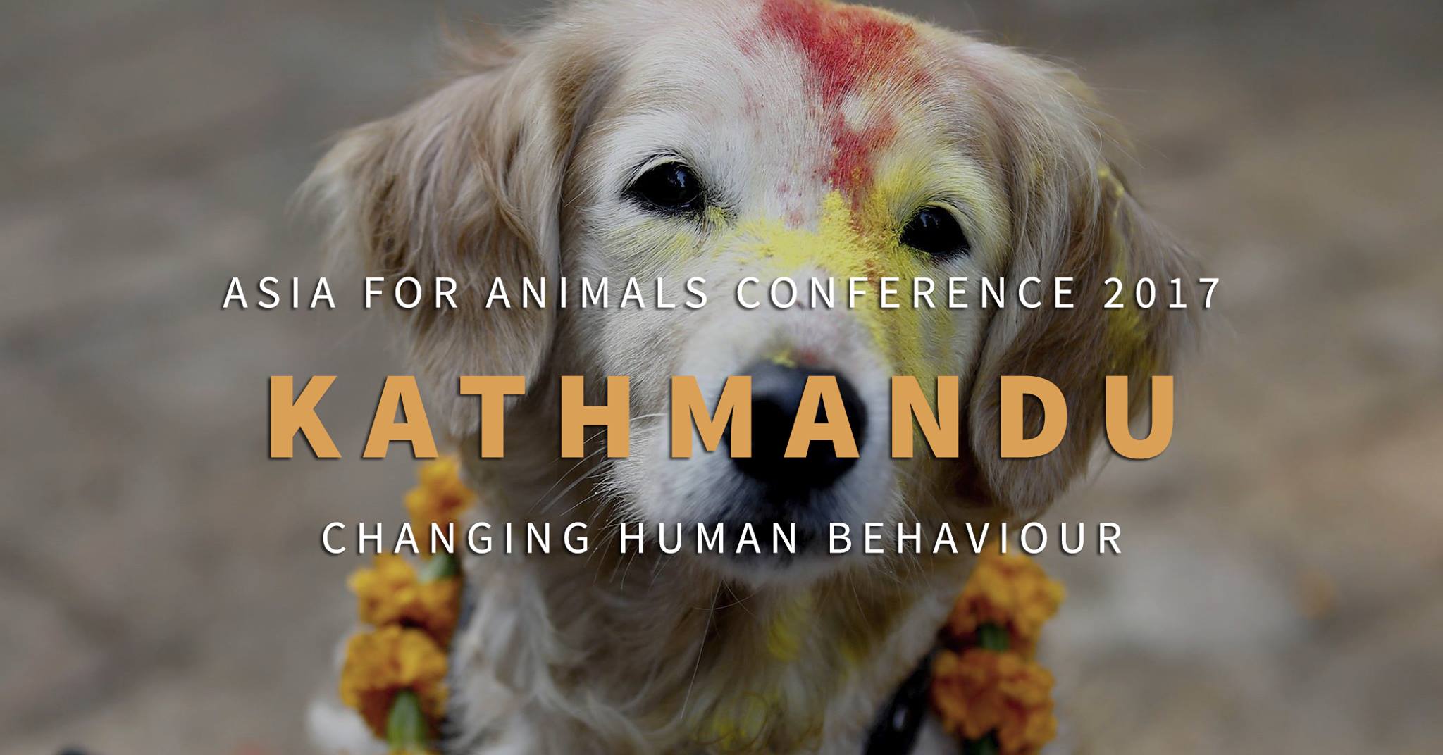 Asia for Animals 2017 – Apply Now to Speak at Asia's Largest Animal  Protection Conference!