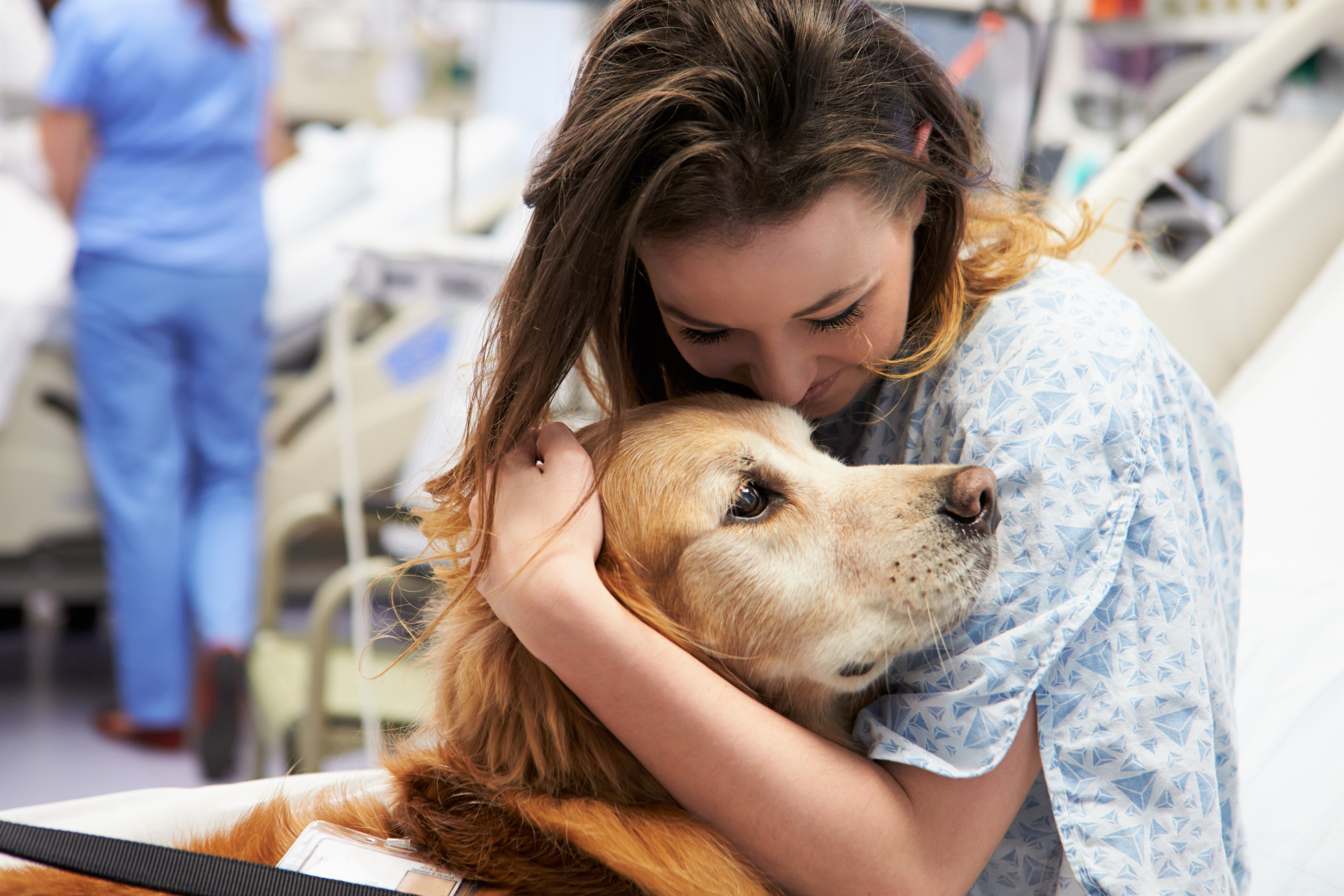 service-dogs-and-therapy-dogs-what-s-the-difference