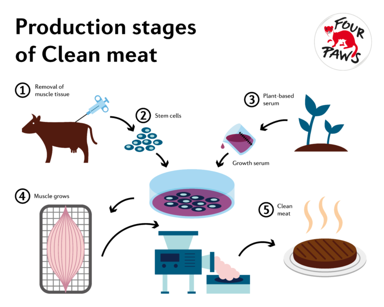 What is “Clean Meat”?