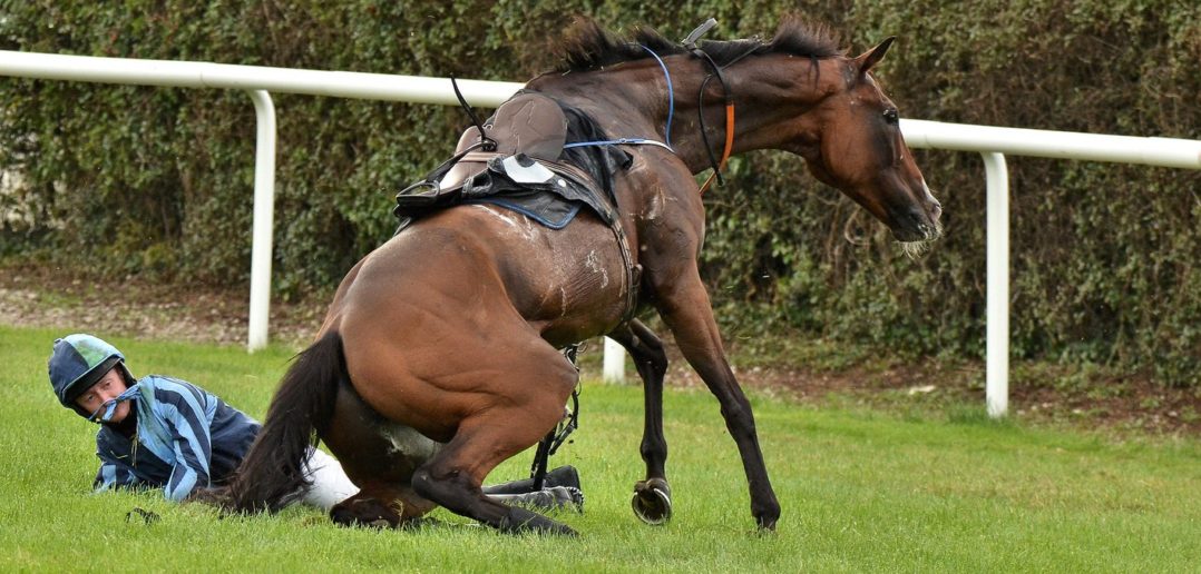 2,000 British Race Horses Dead The Shame of the Racing Industry