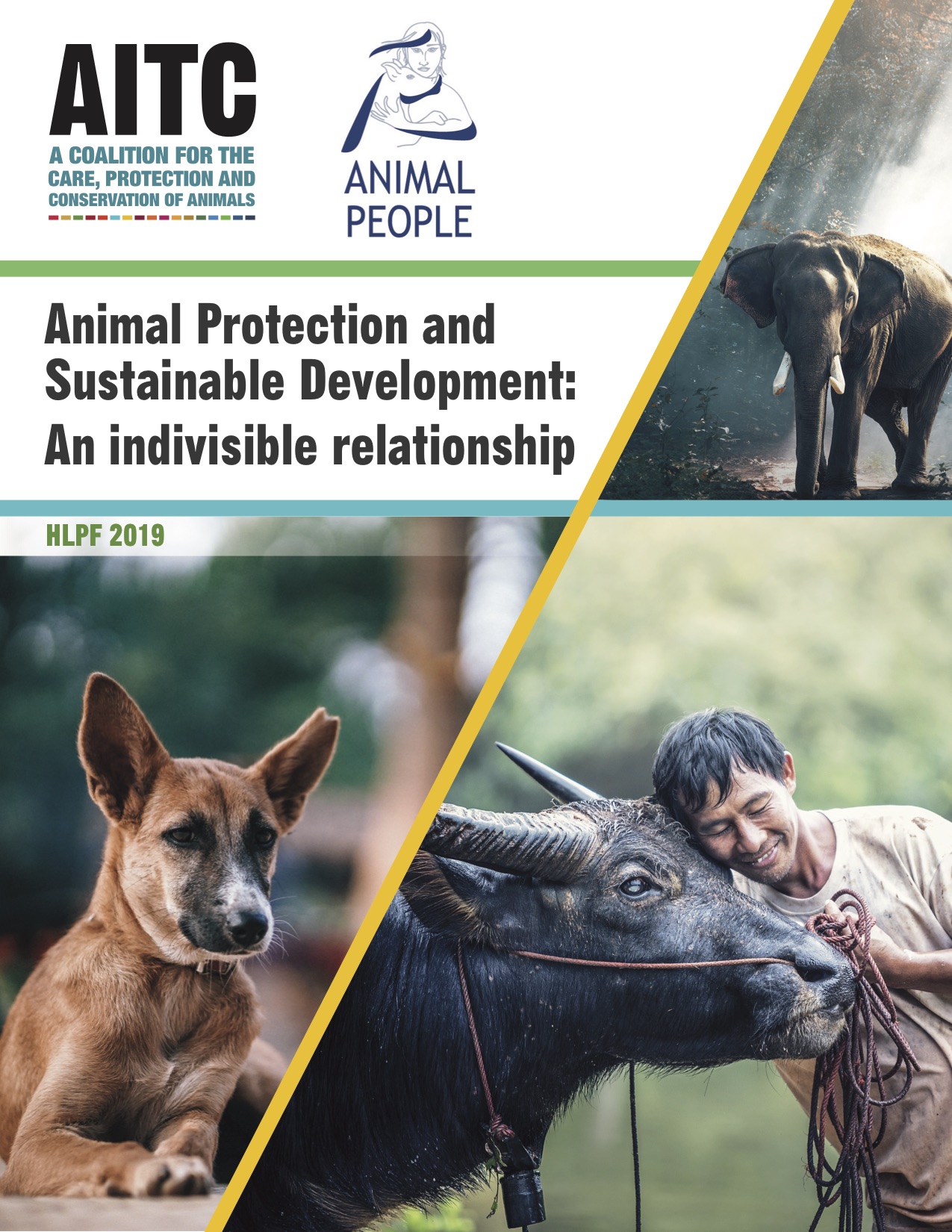 How Animal Protection Impacts All 17 U.N. Sustainable Development Goals