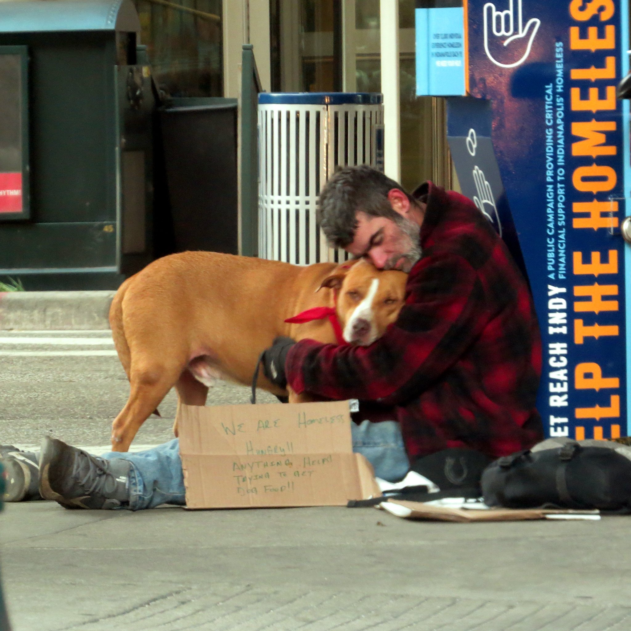 Collection 94+ Pictures how to help a homeless person with a dog Latest