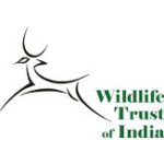 Profile picture of Wildlife Trust of India