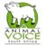 Profile picture of Animal Voice