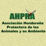 Profile picture of Asociación Hondureña Protectora de los Animales y su Ambiente (AHPRA)