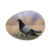 Profile picture of Ovocontrol