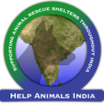 Profile picture of Help Animals India