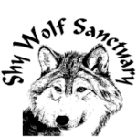 Profile picture of Shy Wolf Sanctuary