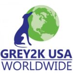 Profile picture of GREY2K USA Worldwide