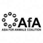 Profile picture of Asia for Animals